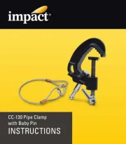 Impact
