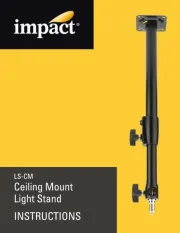 Impact