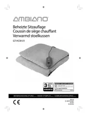 Ambiano