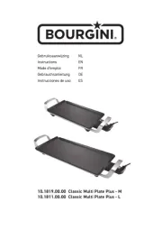 Bourgini