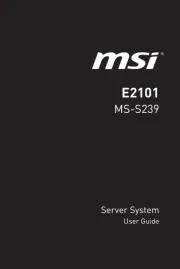 MSI