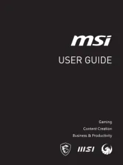 MSI