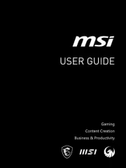 MSI