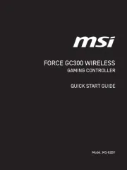 MSI