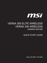 MSI
