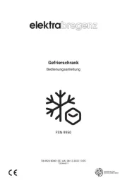 Elektra Bregenz
