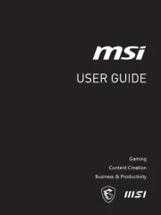 MSI