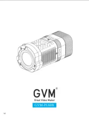 GVM