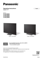 Panasonic