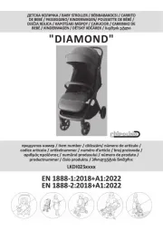 Chipolino