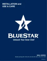 BlueStar