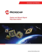 Microchip