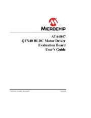 Microchip