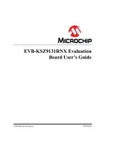 Microchip