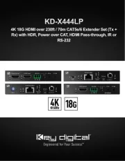 Key Digital