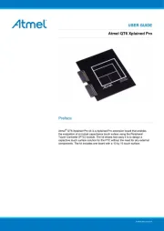Microchip