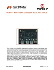 Microchip