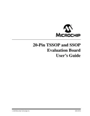 Microchip