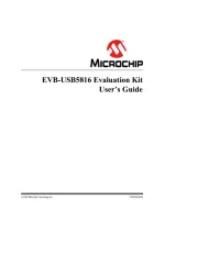 Microchip