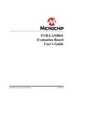 Microchip