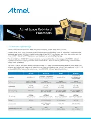 Microchip