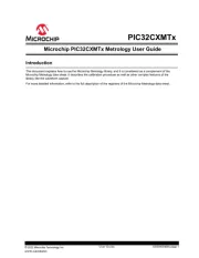 Microchip