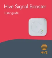 Hive