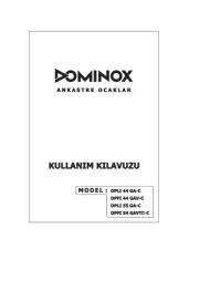 Dominox