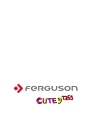 Ferguson