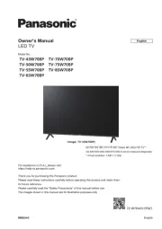 Panasonic