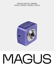 MAGUS