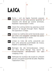 Laica