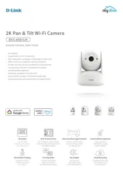 D-Link