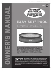 Intex