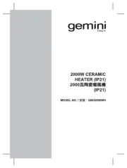 Gemini