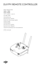 DJI