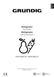 Grundig