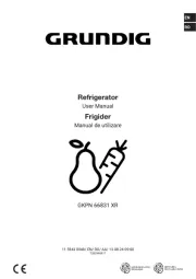 Grundig