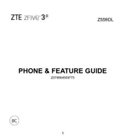 ZTE