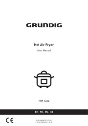 Grundig