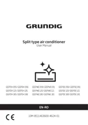 Grundig