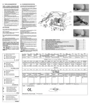 Ribimex