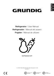 Grundig