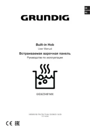 Grundig