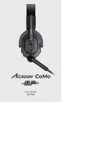 Accsoon