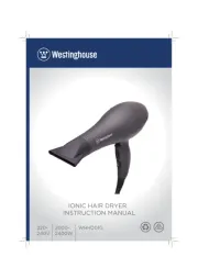 Westinghouse
