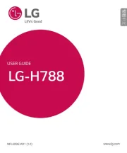 LG