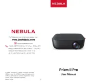 Nebula