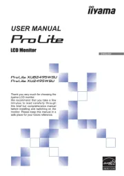 Iiyama