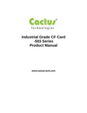 Cactus